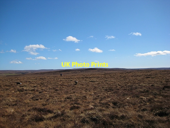 Photo 6"x4" Nameless Moorland Upper Bighouse c2009