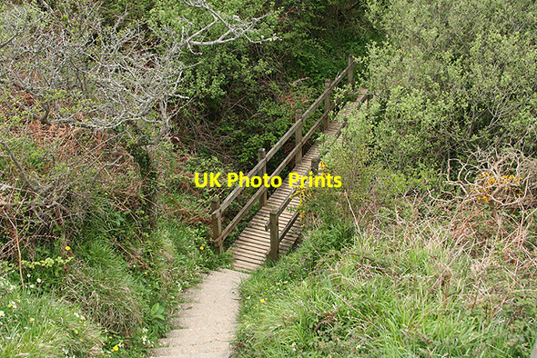 Photo 6"x4" St Gennys: footbridge Crackington Haven c2009