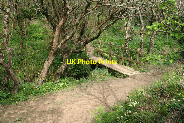 Photo 6"x4" St Gennys: footbridge on the Coxford Water Mineshope c2009