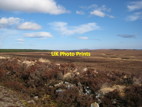 Photo 6"x4" Moorland, Dry Burn Forest Garbh-allt\/NC8245 c2009
