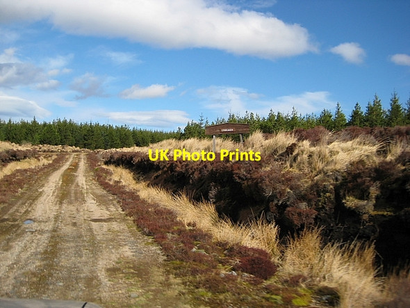 Photo 6"x4" Dry Burn Forest Allt Loch Cr\u00f2caich c2009