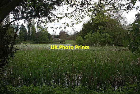 Photo 6"x4" Lake at Canon Frome Court Canon Frome c2009