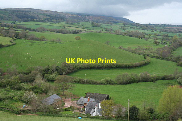 Photo 6"x4" Wootton Courtenay: overlooking Wootton Knowle Blackford\/SS9245 c2009