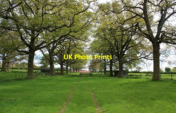 Photo 6"x4" Avenue, Canon Frome Court Canon Frome c2009