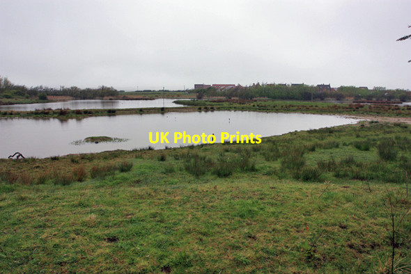Photo 6"x4" Filey Dams Nature Reserve Filey c2009