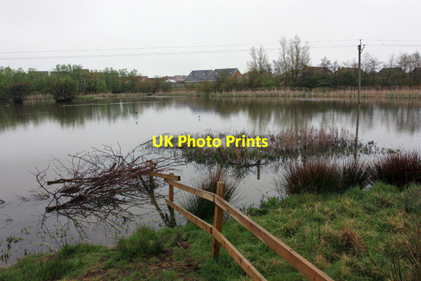 Photo 6"x4" Filey Dams Nature Reserve Filey c2009 P1