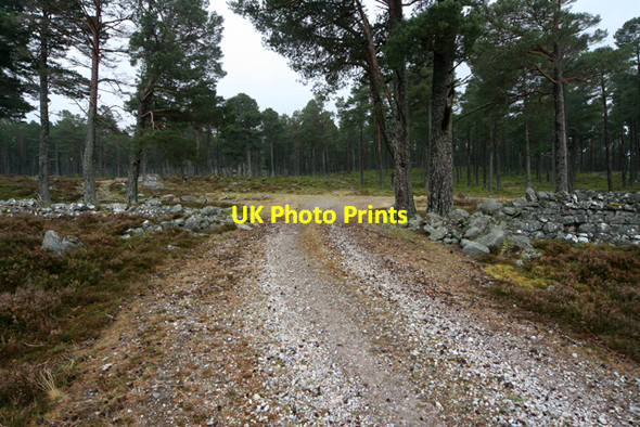 Photo 6"x4" End of the Ripe Hill Track Inver\/NO2393 c2009