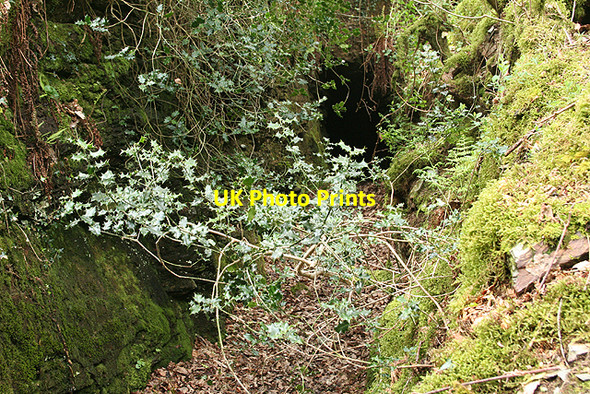 Photo 6"x4" Buckland Monachorum: leat tunnel Buckland Monachorum c2009