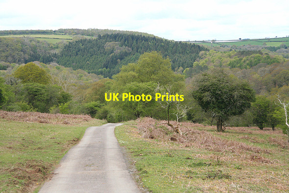 Photo 6"x4" Buckland Monachorum: above the Walkham valley Buckland Monachorum c2009