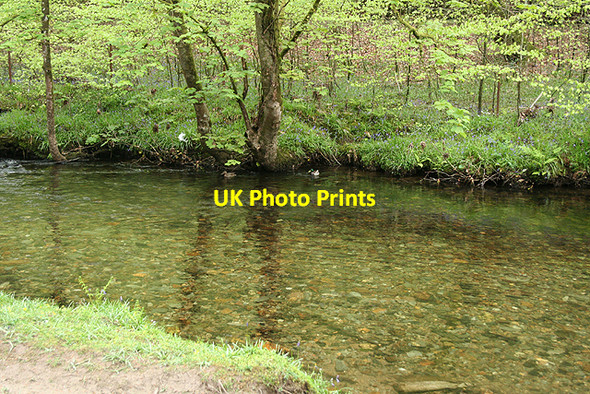 Photo 6"x4" Buckland Monachorum: river Walkham Grenofen c2009