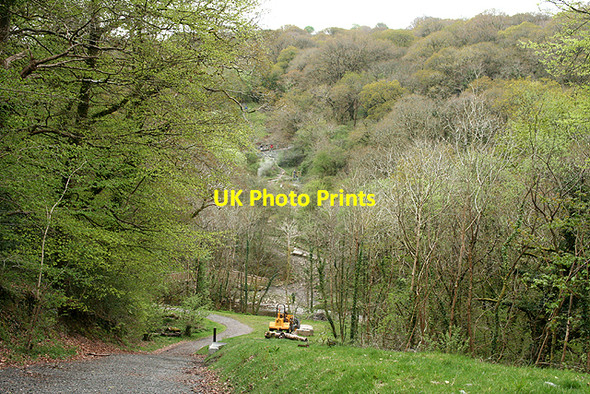 Photo 6"x4" Buckland Monachorum: site of Walkham viaduct Grenofen c2009