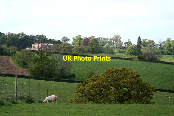 Photo 6"x4" Cullompton: Hillersdon House Knowle\/ST0007 c2009