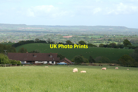 Photo 6"x4" Cullompton: above Coombe Farm Colebrook c2009