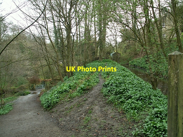 Photo 6"x4" Southern end of Skipton Woods Skipton c2009