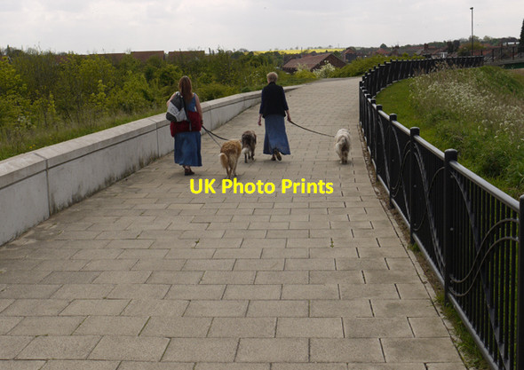 Photo 6"x4" Humber Bank Footpath with Dogwalkers Barton-Upon-Humber c2009