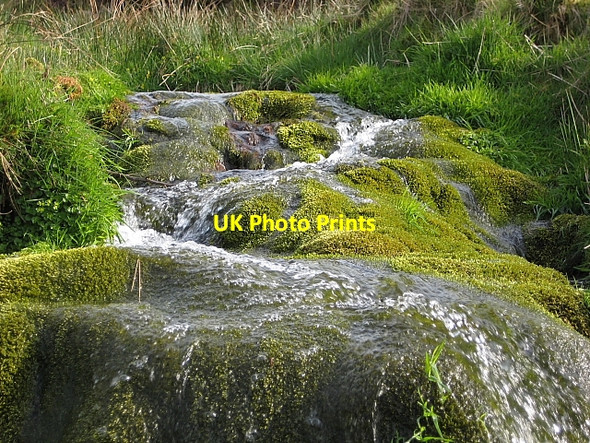 Photo 6"x4" Mossy Cascade Simonsbath c2009