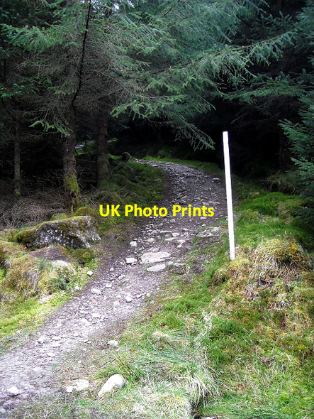 Photo 6"x4" Path from Glen Croe to Lochgoilhead Ardgartan c2009