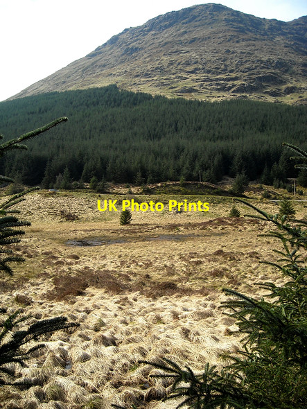 Photo 6"x4" Between Glen Croe and Gleann Mor Loch Restil c2009