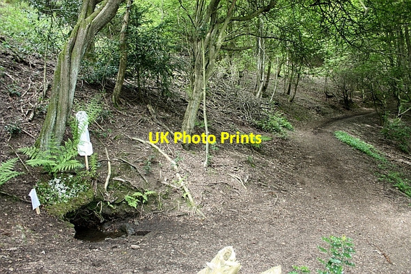 Photo 6"x4" The Eye Well - 2009 Well Dressing Brand Green\/SO7641 c2009