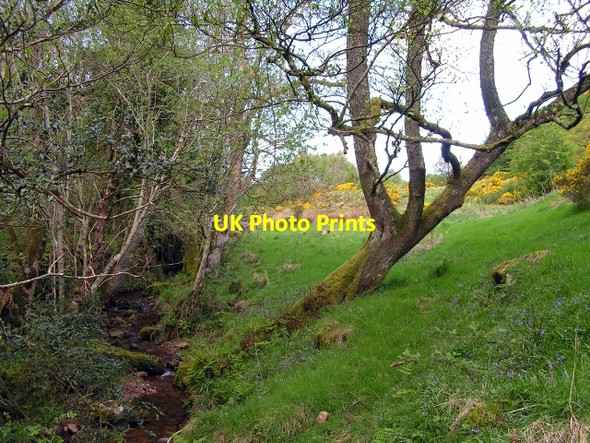 Photo 6"x4" Bankend Burn Auchencairn\/NX7951 c2009