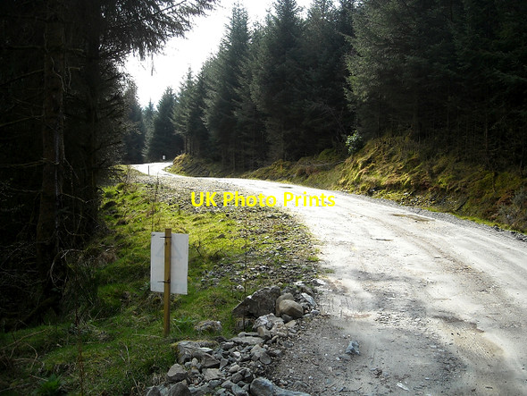 Photo 6"x4" Track in Ardgartan Forest Sr\u00f2n Mallanach c2009