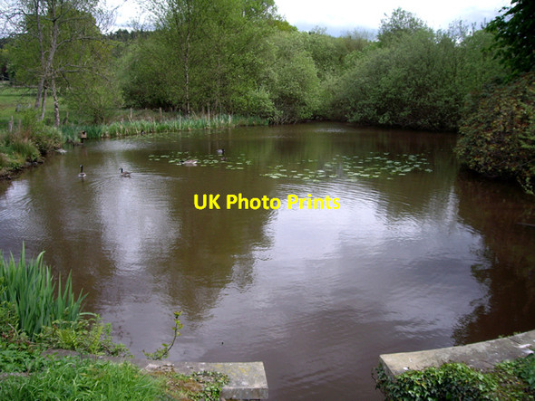 Photo 6"x4" Pond, Holmbury St Mary Holmbury St Mary c2009