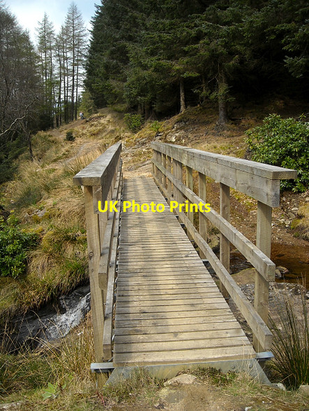 Photo 6"x4" Footbridge on Forest Path Lochgoilhead c2009