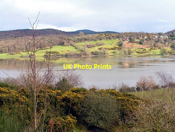 Photo 6"x4" Full Tide Palnackie c2008