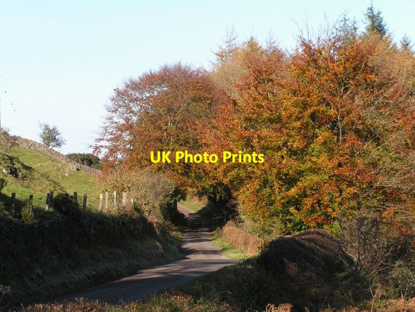 Photo 6"x4" Autumn Colours on the Glen Road Palnackie c2008