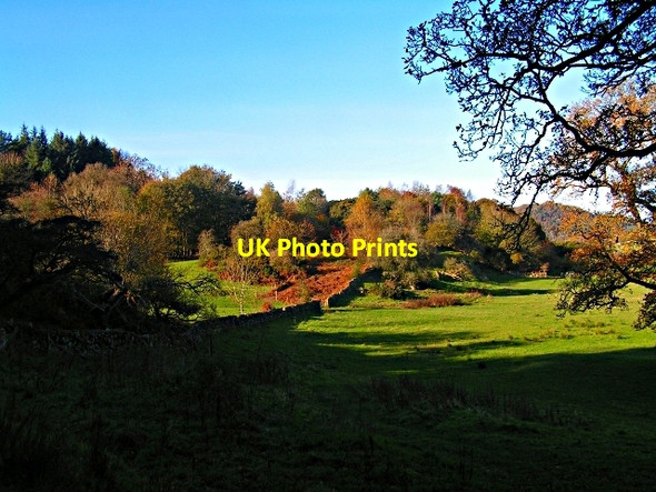 Photo 6"x4" Autumn Colour at North Glen Palnackie c2008