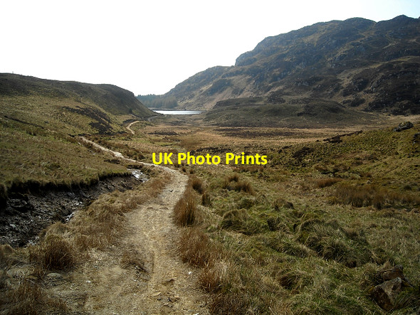 Photo 6"x4" Path Leading to Corran Lochan Carrick Castle c2009