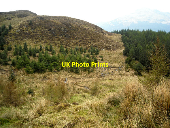Photo 6"x4" Hillside Between Tom Molach And The Saddle Carrick Castle c2009
