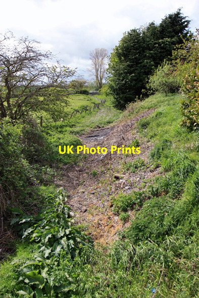 Photo 6"x4" The Gypsey Race Burton Fleming c2009