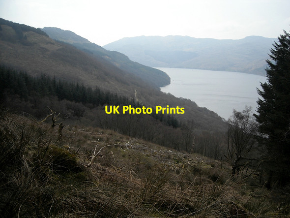 Photo 6"x4" East Side of Loch Goil Lochgoilhead c2009