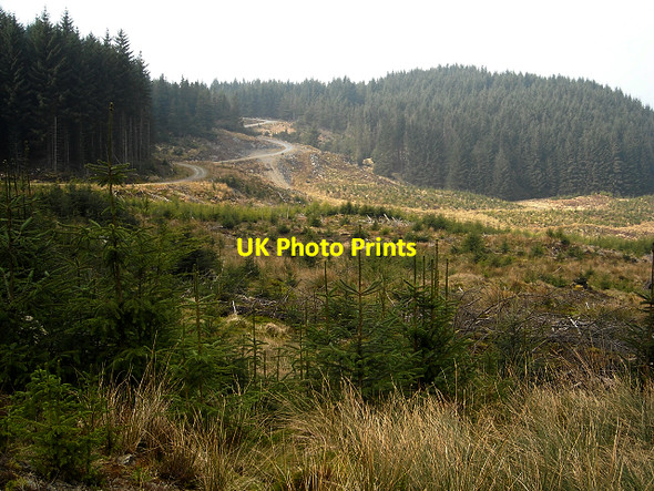 Photo 6"x4" Loch Ard Forest Gualann c2009