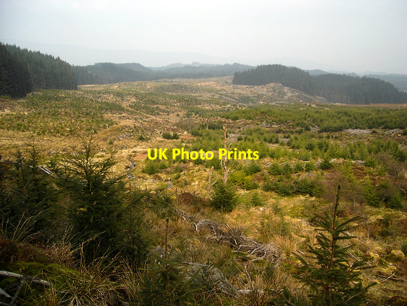 Photo 6"x4" Loch Ard Forest Gualann c2009 P1