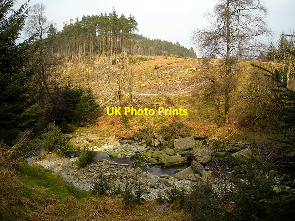 Photo 6"x4" Allt Clachanlaoigh in Loch Ard Forest Maol an Iaruinn c2009
