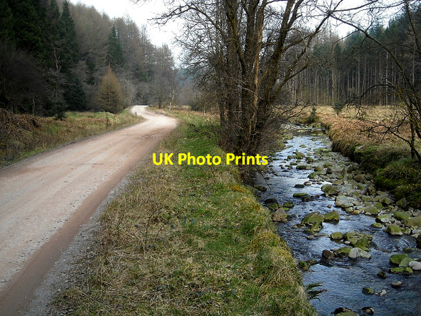 Photo 6"x4" Allt Clachanlaoigh in Loch Ard Forest Kinlochard c2009