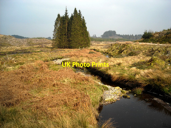 Photo 6"x4" Kelty Water in Loch Ard Forest Lime Hill c2009