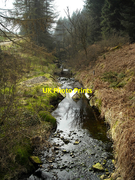 Photo 6"x4" Kelty Water in Loch Ard Forest Lime Hill c2009