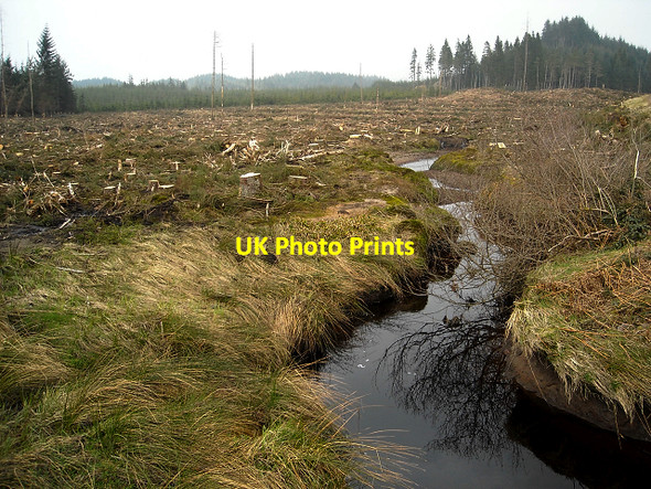 Photo 6"x4" Kelty Water in Loch Ard Forest Lime Hill c2009