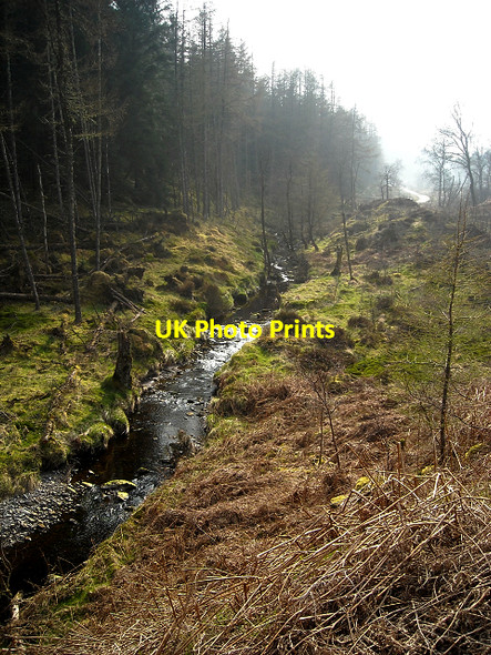 Photo 6"x4" Castle Burn in Loch Ard Forest Altskeith c2009