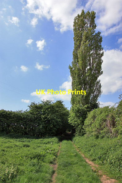 Photo 6"x4" St Andrews Lane enters the holoway High Hutton c2009