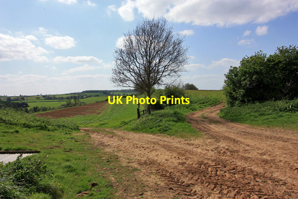 Photo 6"x4" Left, right, or straight on? Crambeck c2009