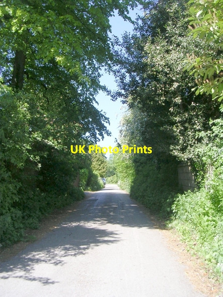 Photo 6"x4" Inholmes Lane - Station Road Tadcaster c2009