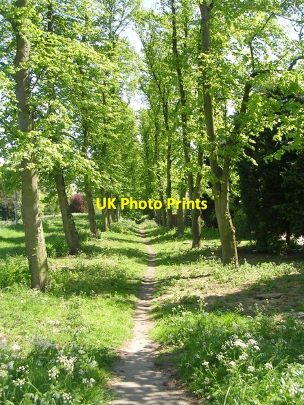Photo 6"x4" Footpath - Wharfe Bank Terrace Tadcaster c2009