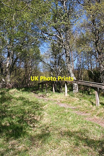 Photo 6"x4" Steps to Queen Victoria Viewpoint Tomintoul\/NJ1618 c2009