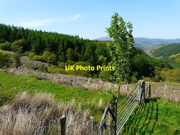 Photo 6"x4" Gate across track Glaspwll c2009