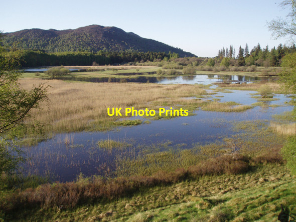 Photo 6"x4" The Bogach, Kinrara Estate Doune\/NH8809 c2009
