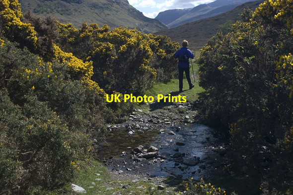 Photo 6"x4" Ford in the gorse Abhainn Loch an Nid c2009